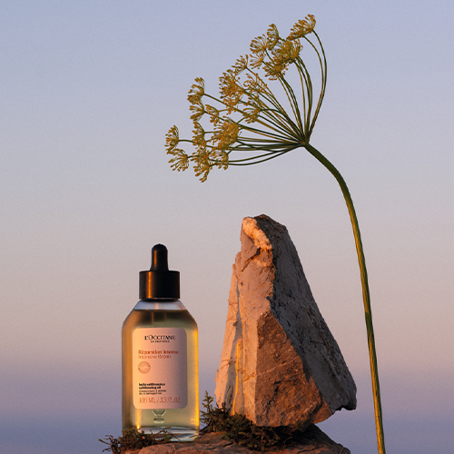 Intensive Repair Sublimating Oil | L'Occitane AU
